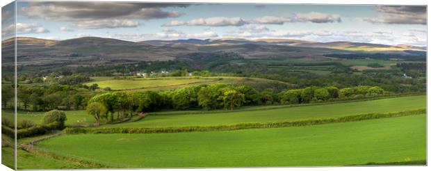 The Brecon Beacons National Park Canvas Print by Leighton Collins