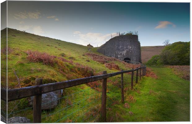 Henllys Lime Kilns at Cwmllynfell Canvas Print by Leighton Collins