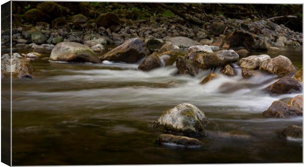 Stones in the Afon Twrch Canvas Print by Leighton Collins