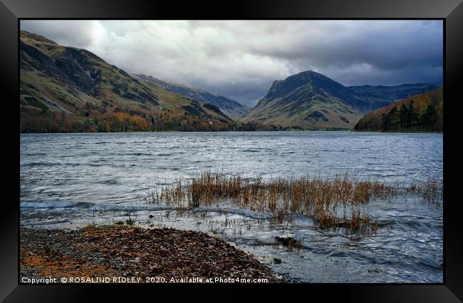 "Moody Buttermere" Framed Print by ROS RIDLEY