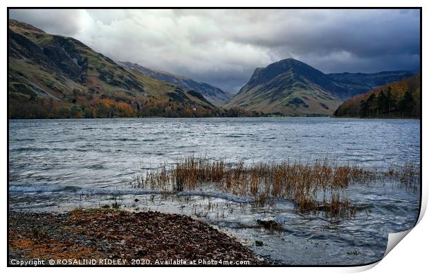 "Moody Buttermere" Print by ROS RIDLEY