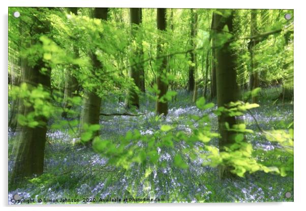 Bluebell glade Acrylic by Simon Johnson