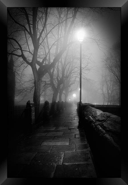 The Misty Walk - Black and White Framed Print by Mike Evans