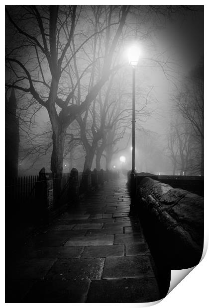The Misty Walk - Black and White Print by Mike Evans