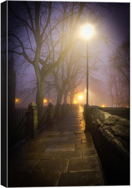 The Misty Walk Canvas Print by Mike Evans
