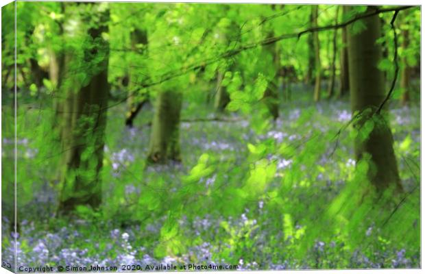 Leaves and bluebells Canvas Print by Simon Johnson