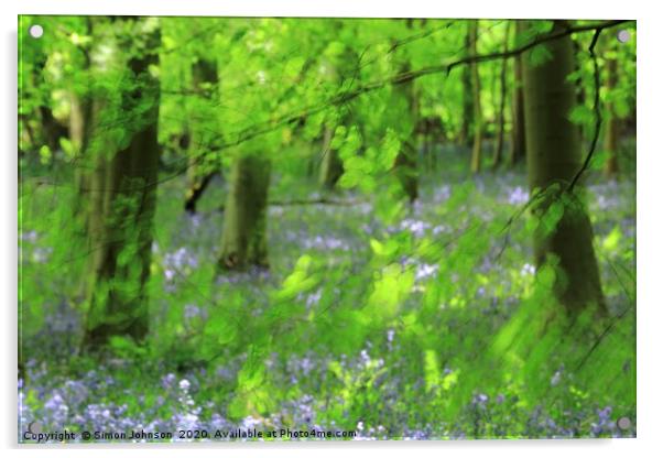 Leaves and bluebells Acrylic by Simon Johnson