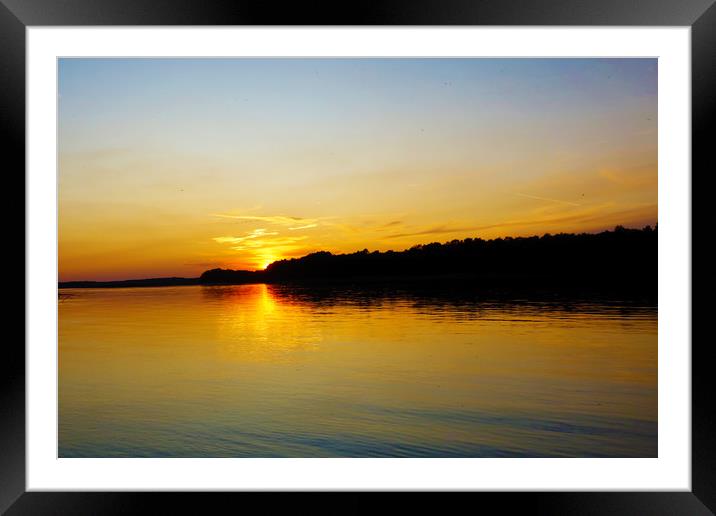 Irreversible sunset in the Danube Meadow 1 Framed Mounted Print by liviu iordache