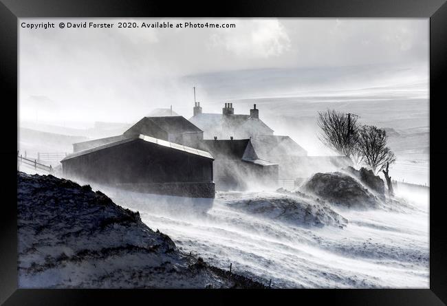 North Pennine Farmstead Blizzard, Upper Teesdale,  Framed Print by David Forster