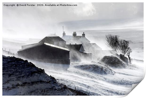 North Pennine Farmstead Blizzard, Upper Teesdale,  Print by David Forster