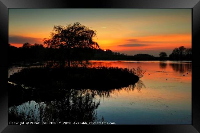 "Sundown at the lake" Framed Print by ROS RIDLEY