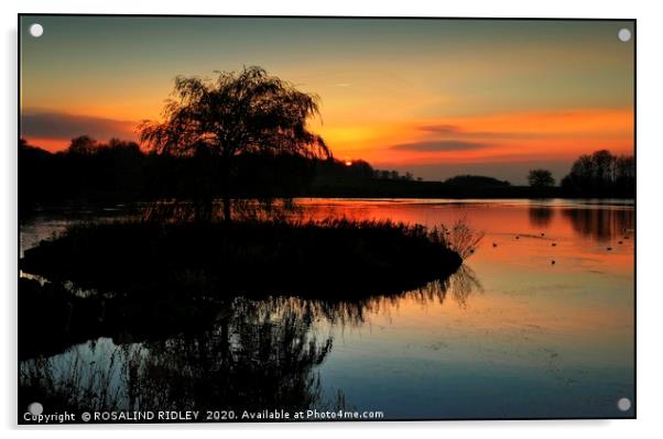 "Sundown at the lake" Acrylic by ROS RIDLEY