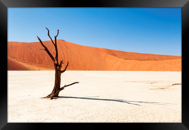 Lone Tree, Dead Vlei, Namibia Framed Print by Justin Foulkes
