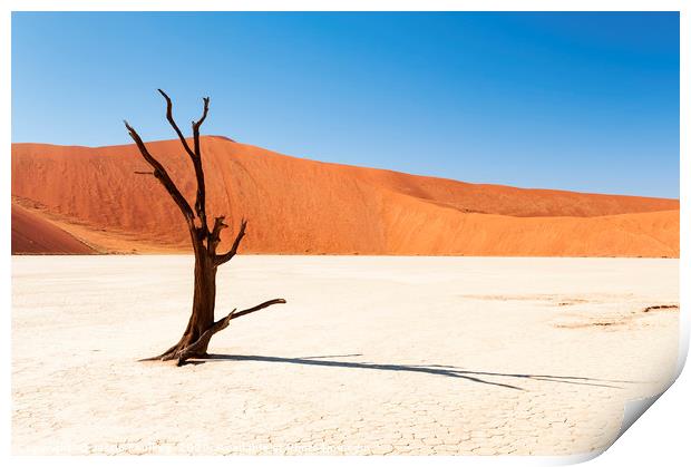 Lone Tree, Dead Vlei, Namibia Print by Justin Foulkes
