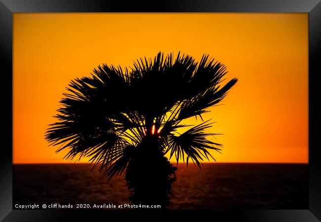 sunset palm Framed Print by Scotland's Scenery