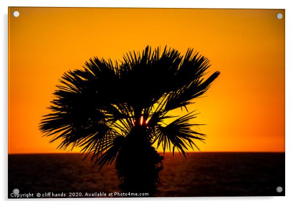sunset palm Acrylic by Scotland's Scenery