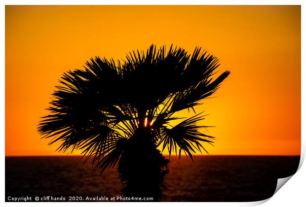sunset palm Print by Scotland's Scenery