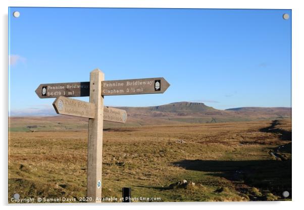 Crossroads near Ingleborough, Ribblesdale. Acrylic by Samuel Davis