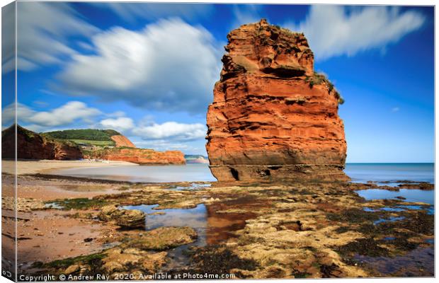 Low Tide at Ladram Bay Canvas Print by Andrew Ray