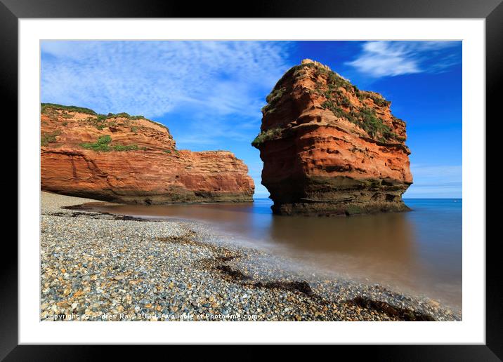 Sandstone Sea Stack (Ladram Bay) Framed Mounted Print by Andrew Ray