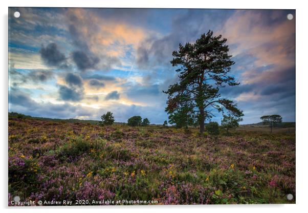 Tree's on Woodbury Common. Acrylic by Andrew Ray