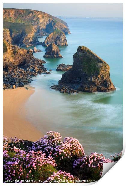 Thrift and Sea Stacks (Bedruthan Steps)  Print by Andrew Ray