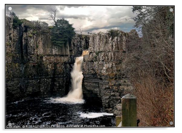 "High Force" Acrylic by ROS RIDLEY