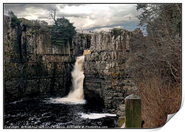 "High Force" Print by ROS RIDLEY