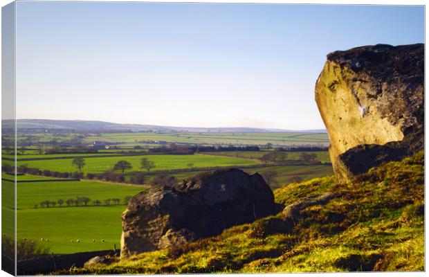 Almscliff Crag and Lower Wharfedale Canvas Print by Steven Watson