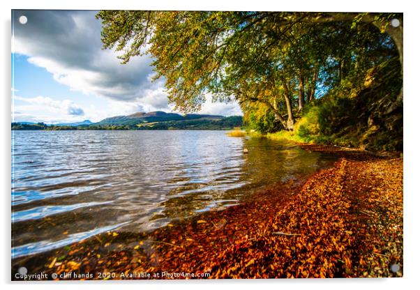 Banks of Loch Lomond. Acrylic by Scotland's Scenery