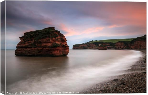 Ladram Bay  Canvas Print by Andrew Ray
