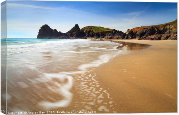 Kynance Beach Canvas Print by Andrew Ray