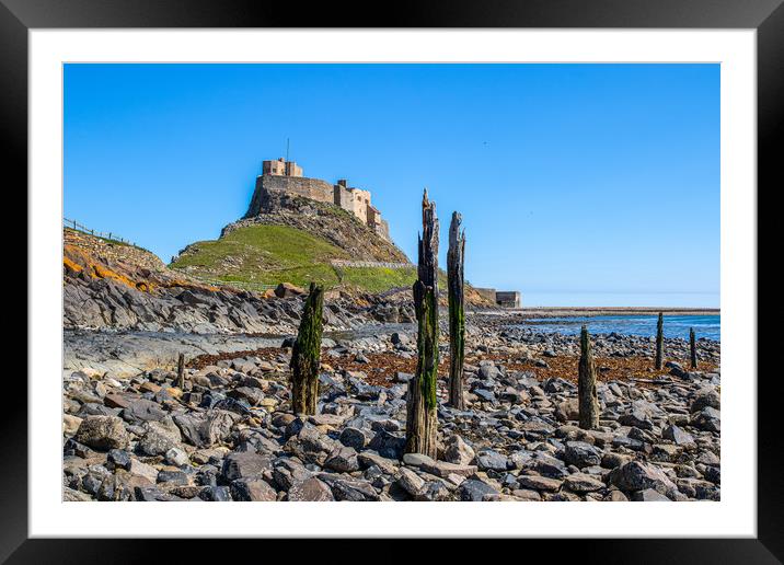 Lindisfarne castle   Framed Mounted Print by chris smith