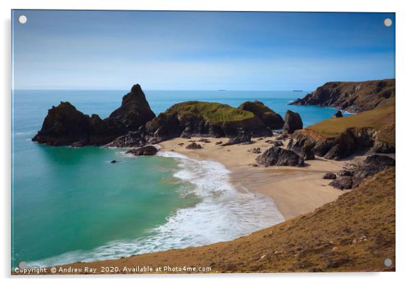 Low Tide at Kynance Cove Acrylic by Andrew Ray