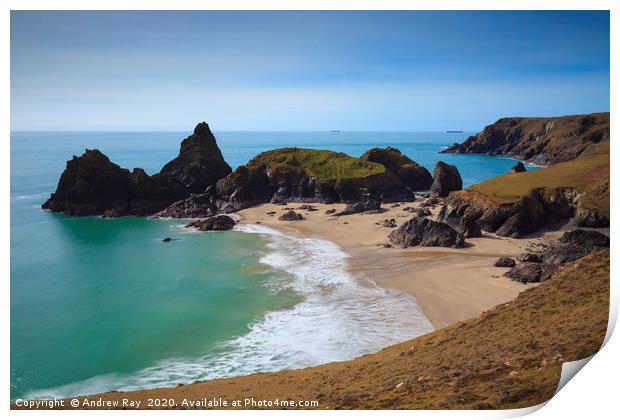 Low Tide at Kynance Cove Print by Andrew Ray