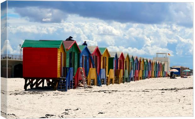 Multicoloured cabins in the beach Canvas Print by Theo Spanellis
