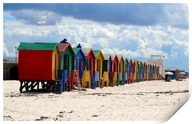Multicoloured cabins in the beach Print by Theo Spanellis