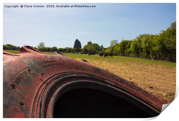 Tractor Tyre Print by Claire Colston