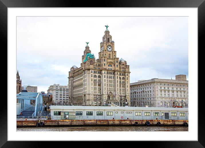 Liver Building, Liverpool. Framed Mounted Print by Catherine Joll