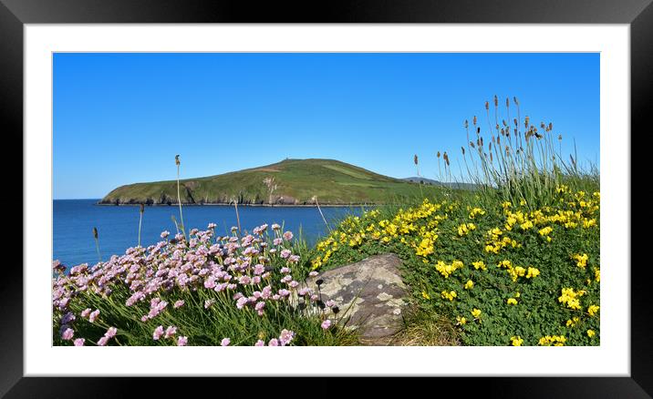 Spring colours Framed Mounted Print by barbara walsh