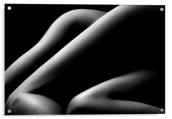 Nude woman bodyscape 58 Acrylic by Johan Swanepoel