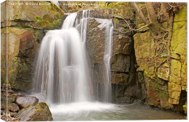Waterfall at Lumsdale Valley, Derbyshire Canvas Print by David Birchall