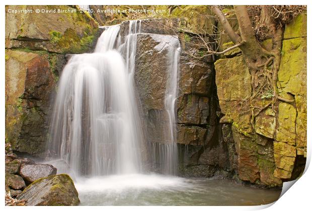 Waterfall at Lumsdale Valley, Derbyshire Print by David Birchall