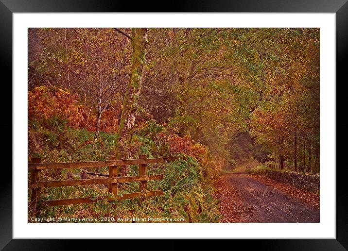 Autumn Country Lane Framed Mounted Print by Martyn Arnold