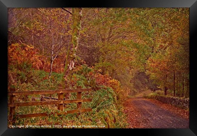 Autumn Country Lane Framed Print by Martyn Arnold