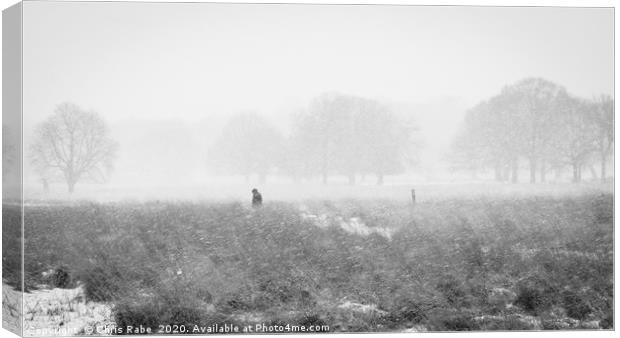 Solitary figure wanders through snow storm Canvas Print by Chris Rabe