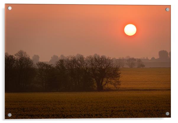 Sunrise over a field of rape Acrylic by Stephen Mole