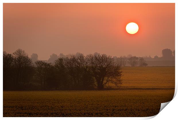 Sunrise over a field of rape Print by Stephen Mole