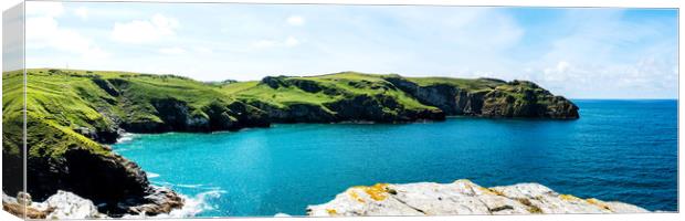 Bossiney Haven Cornwall Canvas Print by David Wilkins
