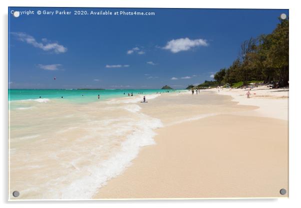 Hawaiian beach views  Acrylic by Gary Parker